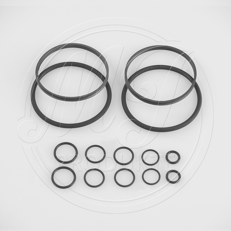 VANOS seal kit for BMW M62TU engines